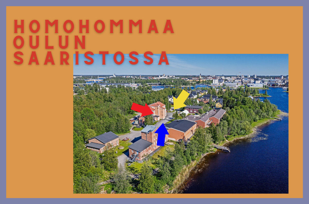 Homohommaa Oulun saaristossa