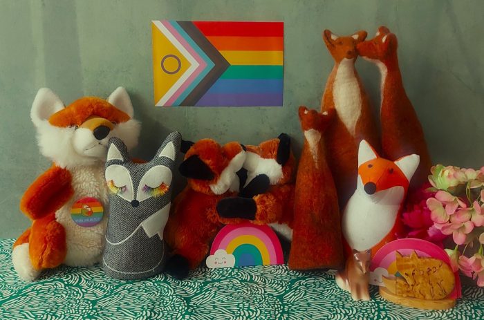 Pehmoleluja ja pride-lippu, kuvituskuva.